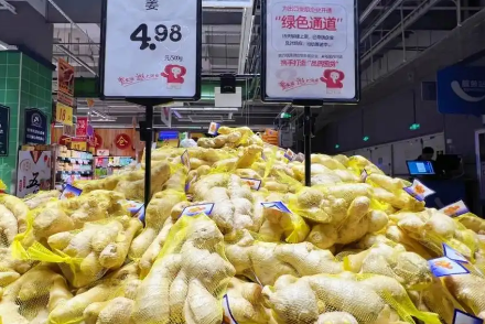 1744938382561571.png image.png