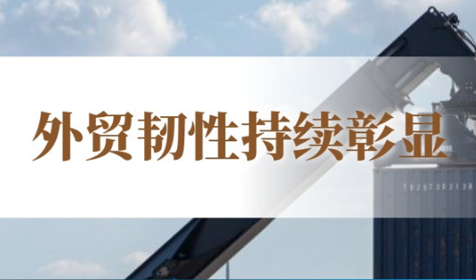 多組數據看中國外貿“韌”勁十足