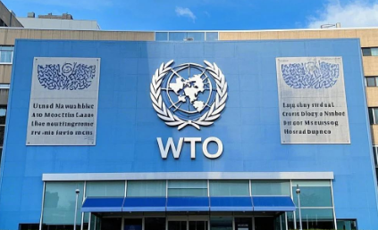 世貿組織下調明年貨物貿易增長(cháng)預期